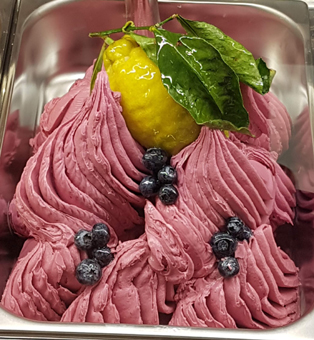 Eis & Gelati Aronia Eis mit Heidelbeeen und Zitronendekoration als Eisdekoration